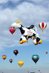 Flying Cows?